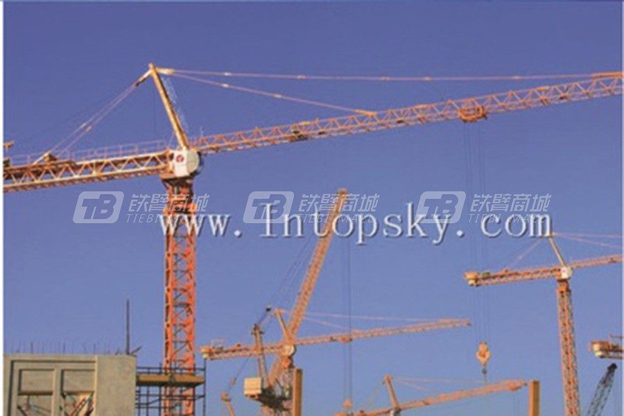 天一重工T6036-12(H3/36B)塔式起重機(jī)