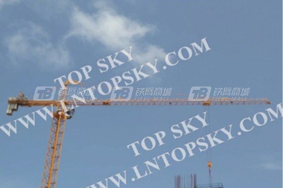 天一重工T6025-10塔式起重機